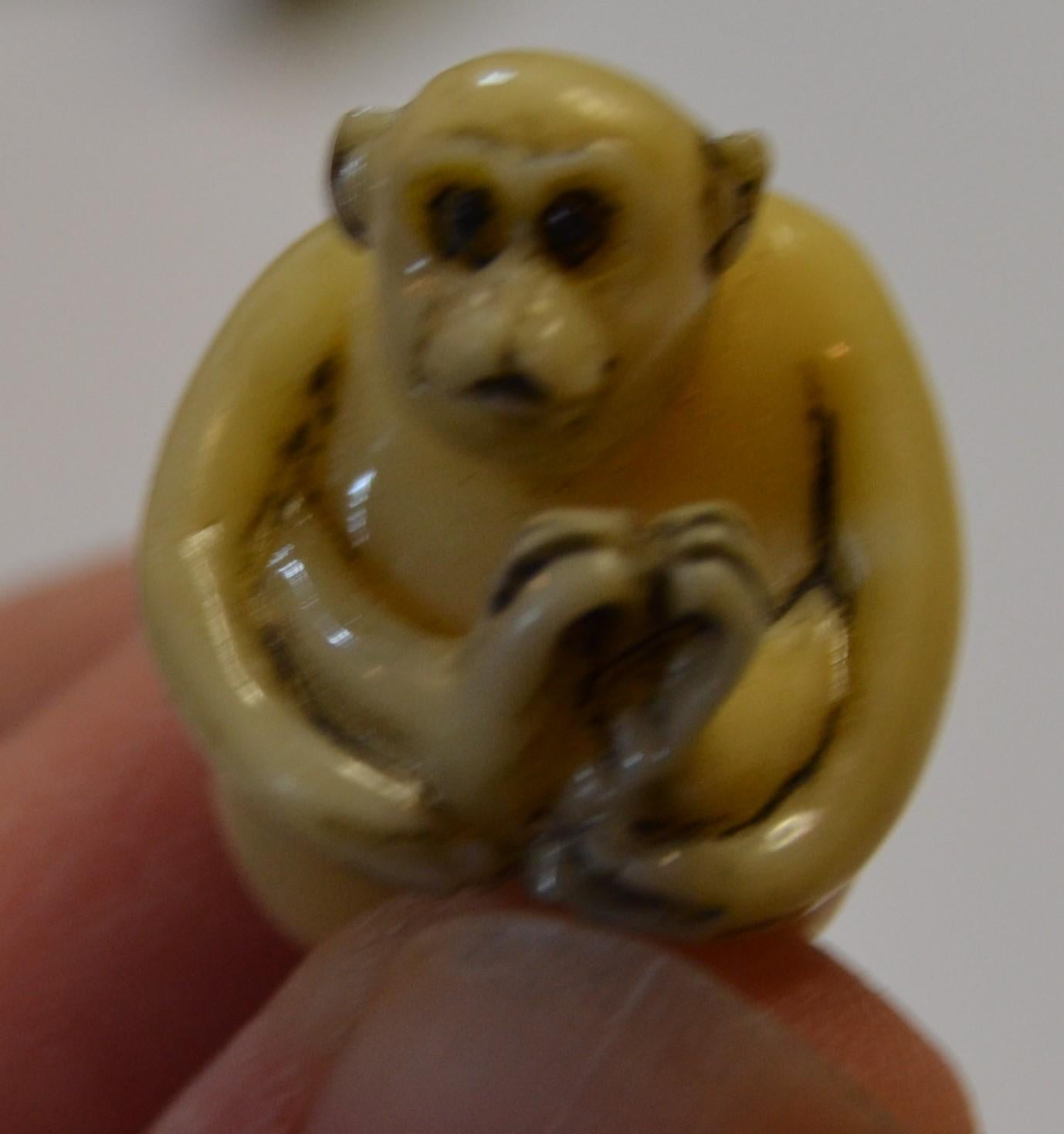 Vintage Netsuke Hand-Carved Tagua Nut, animals
