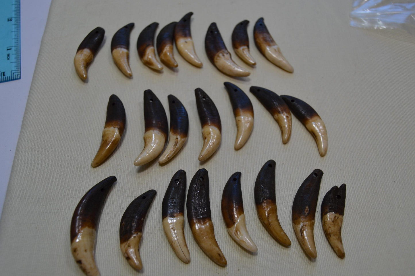 Fang Tooth Beads, lot of 4