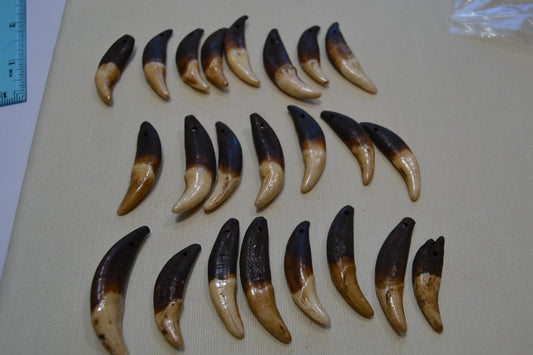 Fang Tooth Beads, lot of 4