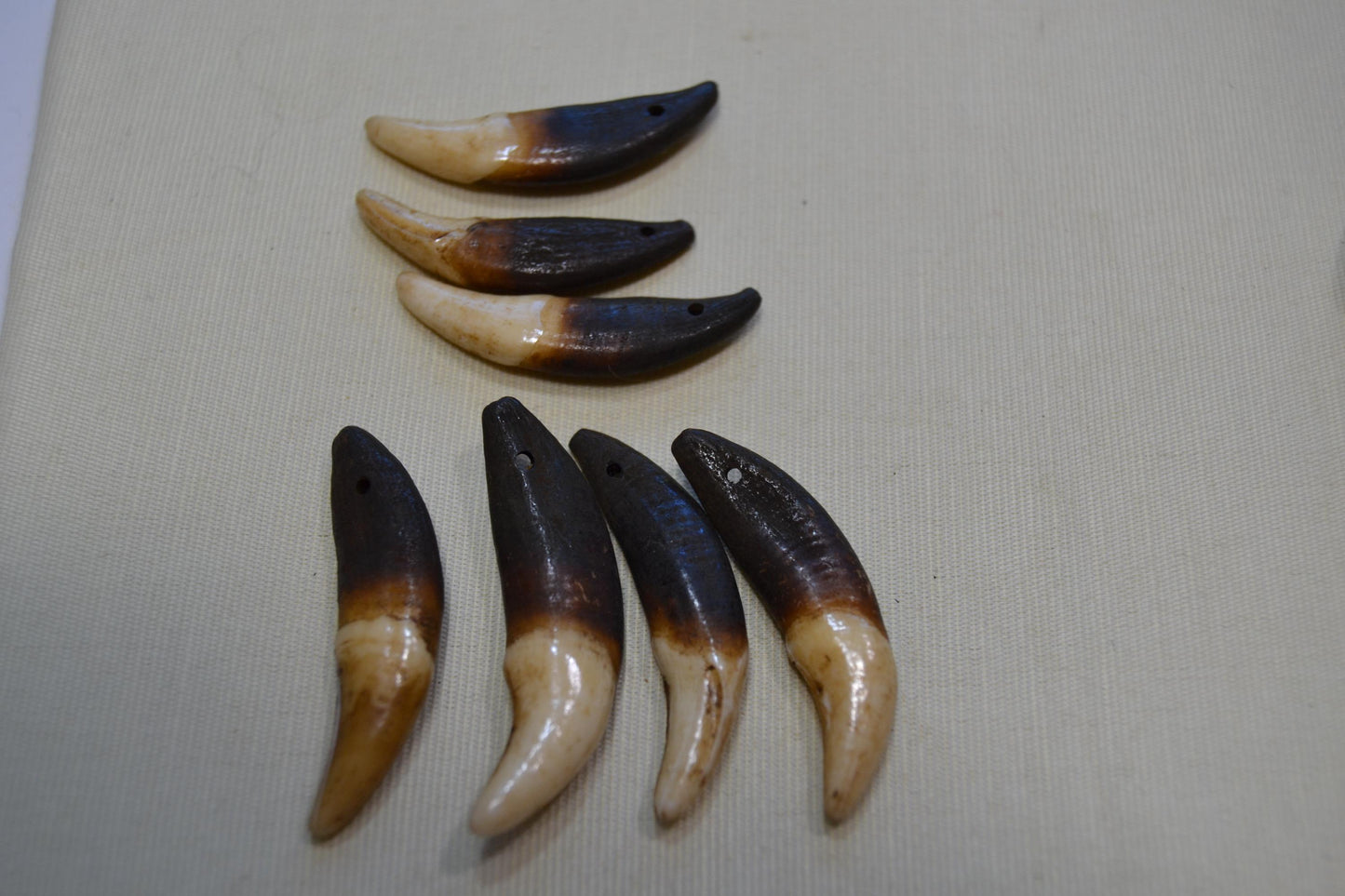Fang Tooth Beads, lot of 4