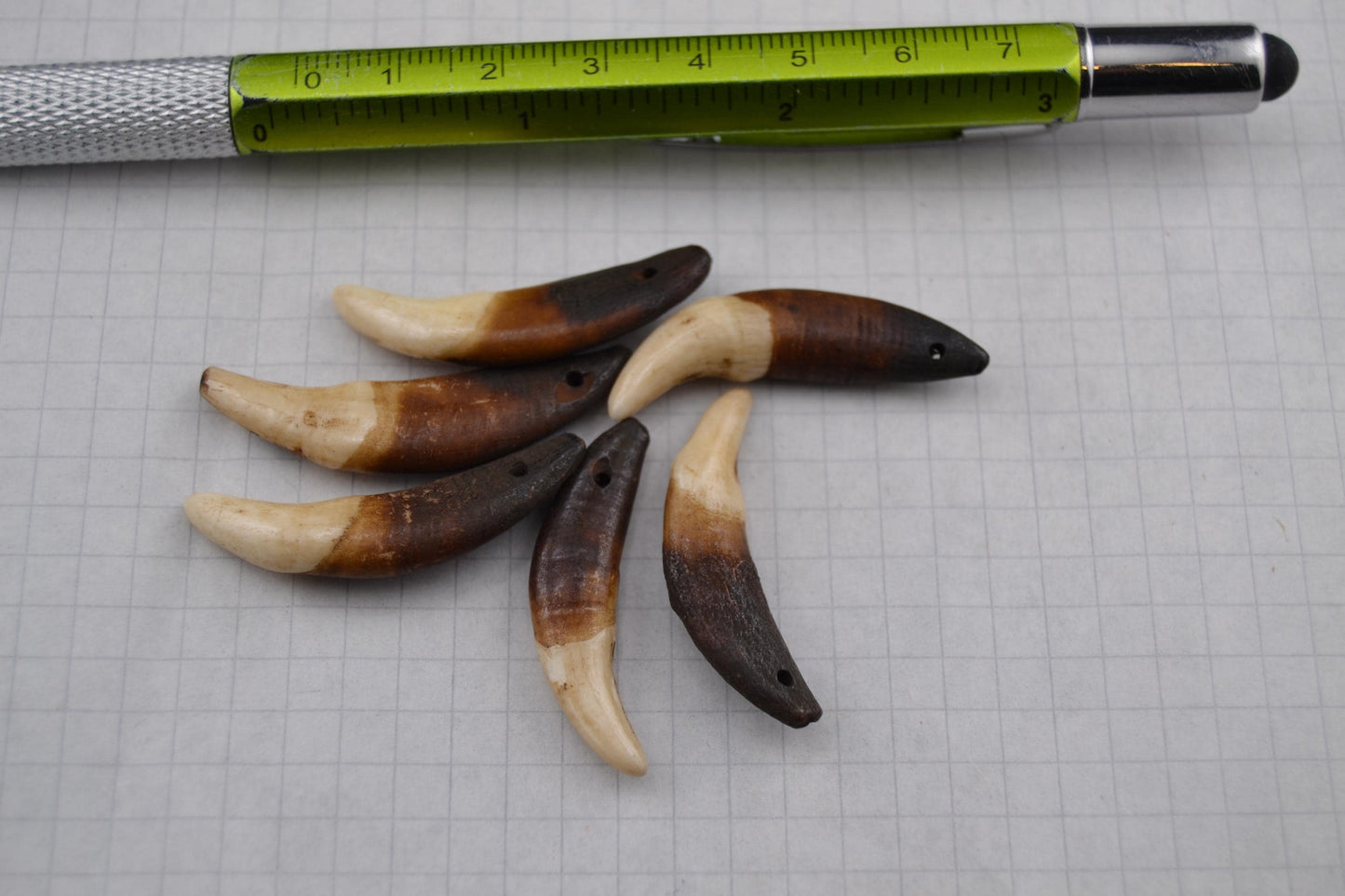 Horse teeth and Canine teeth in lots